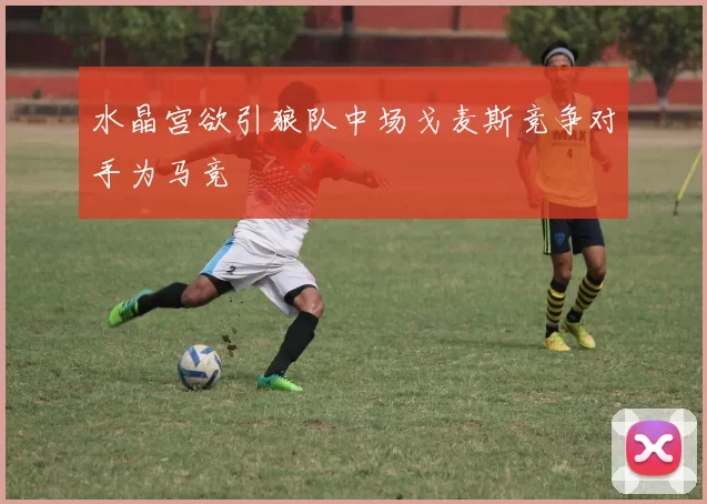 水晶宫欲引狼队中场戈麦斯竞争对手为马竞